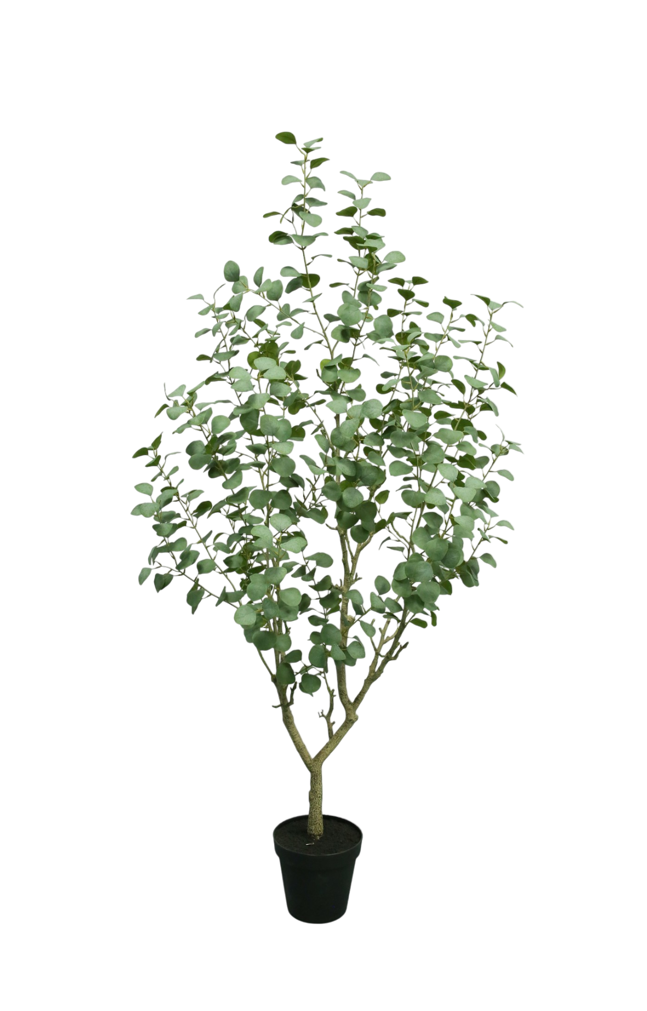 Zijden eucalyptus plant 190 cm met grijsgroene bladeren